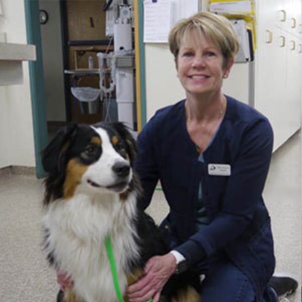 Dr. Holly Sides, Redmond Veterinarian